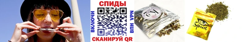 Купить где  Новокубанск  Бутират BDO 