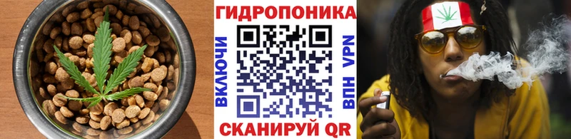 Canna-Cookies конопля  Купить закладки  Новокубанск 