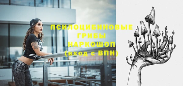 гидра Шали