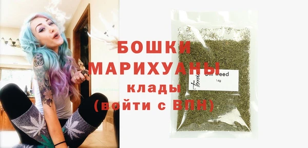 шишки Шадринск