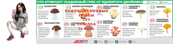 spice Щучье