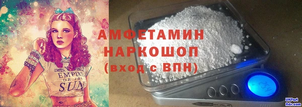 шишки Шадринск