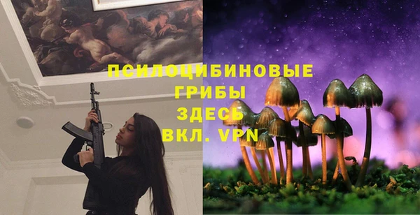шишки Шадринск