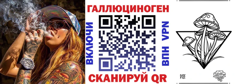 Купить закладки Новокубанск Псилоцибиновые грибы Psilocybine cubensis